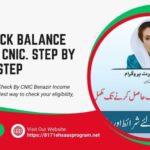 How Government Social Programs Are Supporting Families in Pakistan (2025 Update)