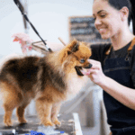 Professional Dog Grooming in Dubai – Keeping Your Pets Happy and Healthy
