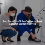 Top Benefits of Professional Pest Control Slough Services