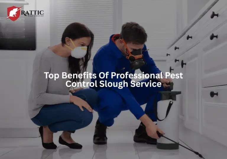 Top Benefits of Professional Pest Control Slough Services