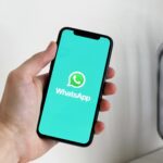 Understanding the Official WhatsApp API: A Guide for Businesses