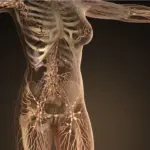 Polynucleotide Treatments