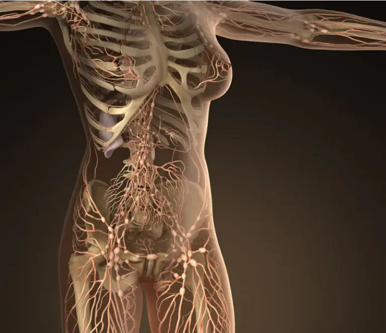 Polynucleotides Treatments at The Medispa: The Future of Skin Regeneration Polynucleotides Treatments at The Medispa: The Future of Skin Regeneration
