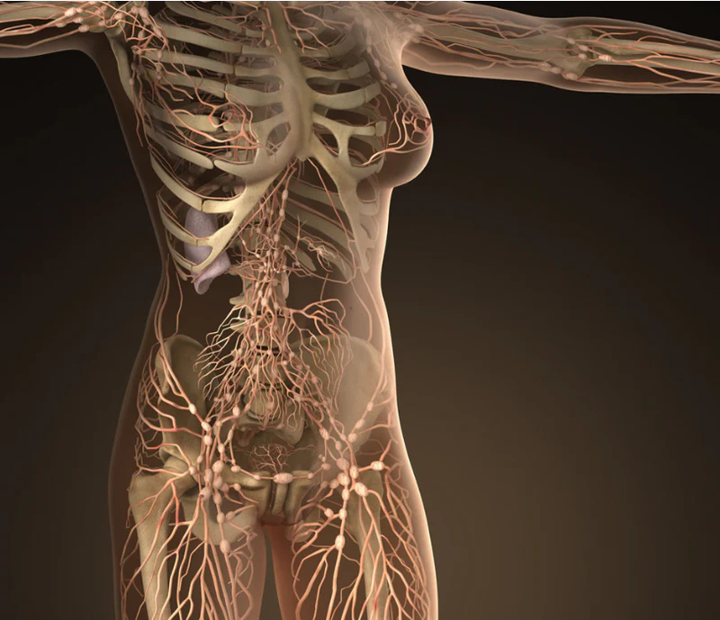 Polynucleotide Treatments