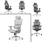 Transforming Workspaces in Qatar