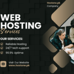 Web hosting in Lahore – Launch your Website Today.