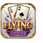 The Ultimate Fun Flight: Exploring the World of Flying Chess