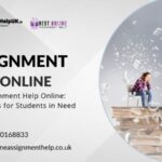 Best Assignment Help Online
