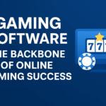 Key Features of a Successful Online Casino and Sportsbook Launch Successful Online Casino and Sportsbook