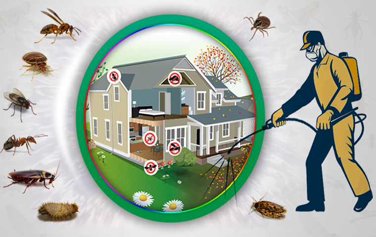 How Regular Pest Control Protects Your Property and Peace of Mind