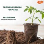 Growing Medium for Plants