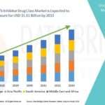 CDK4/6 Inhibitor Drug Class: Mechanism, Clinical Applications and Future Directions