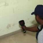 Common Reasons Wall Paint Starts Peeling in Homes