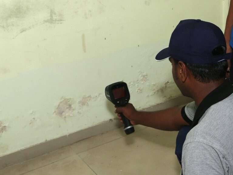 Common Reasons Wall Paint Starts Peeling in Homes Common Reasons Wall Paint Starts Peeling in Homes