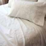 Where to Buy Premium CottonBedsheet by TariqTrade 2026?