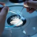 Antibody Glycan Remodeling: A New Paradigm of Precision Medicine from \”Discovery\” to \”Design\”