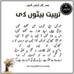 تربیت بیٹوں کی