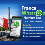 What are the benefits of a verified France WhatsApp Number List?