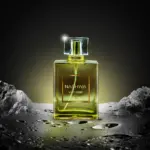 Artificial Intelligence (AI): A Deep Dive into Its Importance, Applications & Future