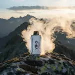 Viho Turbo 10000 Review