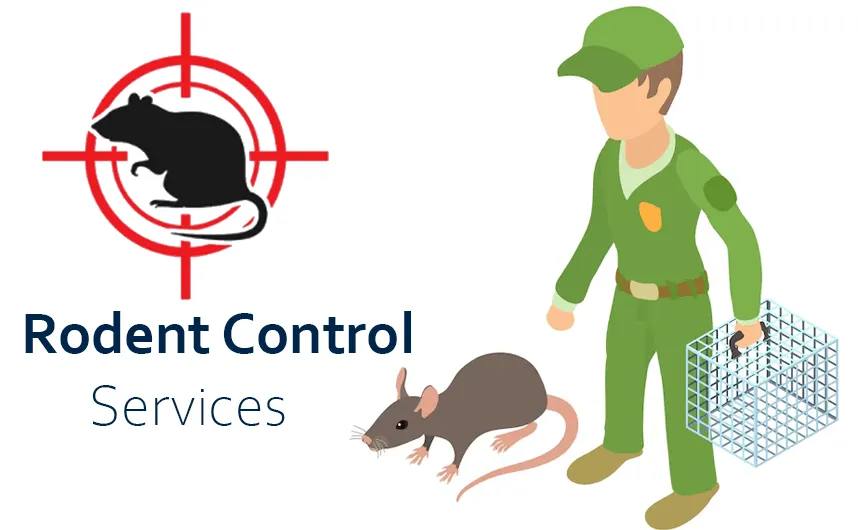 Rodent Control in Sharjah & Ajman – Professional Rodent Pest Control Services by Alpests