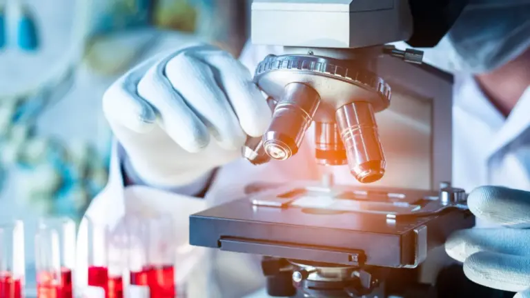 Best Laboratory in Lahore