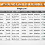 Turn Conversations into Conversions with Targeted Netherlands WhatsApp Contacts