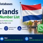 Turn Conversations into Conversions with Targeted Netherlands WhatsApp Contacts