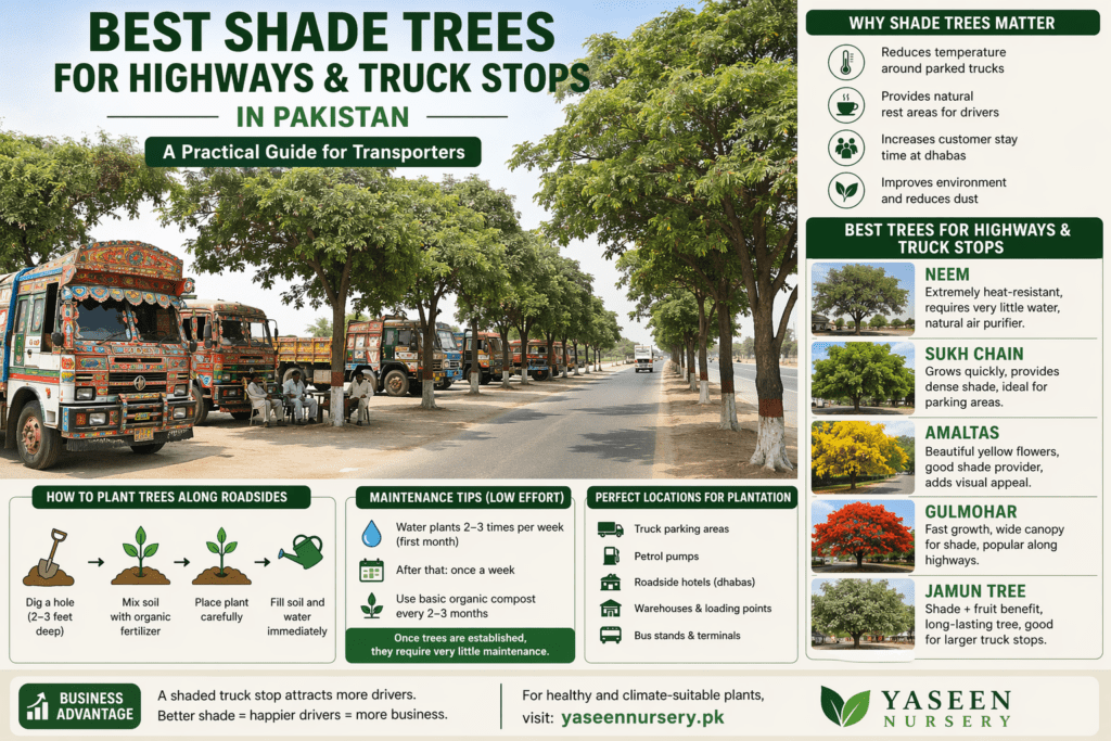 🌿 How Indoor Plants Transform Modern Interior Design in Pakistan