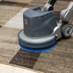 Carpet Cleaning Services Help Maintain Homes That Face Heavy Wear