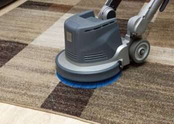 Carpet Cleaning Services Help Maintain Homes That Face Heavy Wear