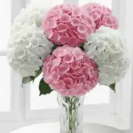 Luxury Flower Delivery Toronto: The World Behind the Stems
