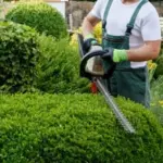 Affordable Professional Landscaper Solutions for Residential & Commercial Properties