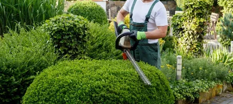 Affordable Professional Landscaper Solutions for Residential & Commercial Properties