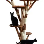 Natürlicher Kratzbaum Aus Echtem Holz Für Moderne Katzenhaushalte Heute
