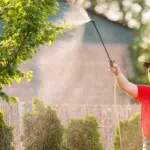 Protect Your Landscape with Professional Plant Care Services Near You