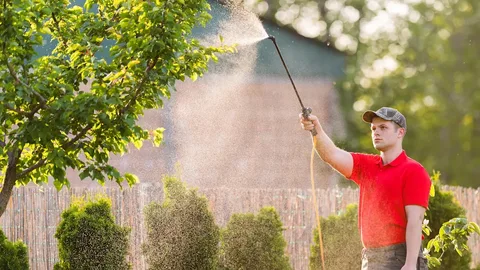 Protect Your Landscape with Professional Plant Care Services Near You Protect Your Landscape with Professional Plant Care Services Near You