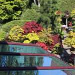 Residential Window Tinting in Chesapeake VA for Modern Homes