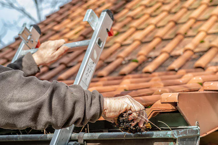 Gutter Guard Installation Benefits for Cleaner and Protected Gutters