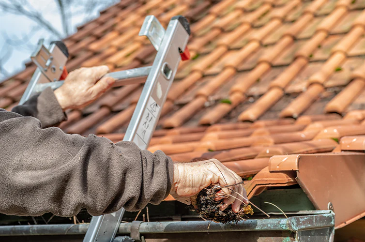Gutter Guard Installation Benefits for Cleaner and Protected Gutters Gutter Guard Installation Benefits for Cleaner and Protected Gutters