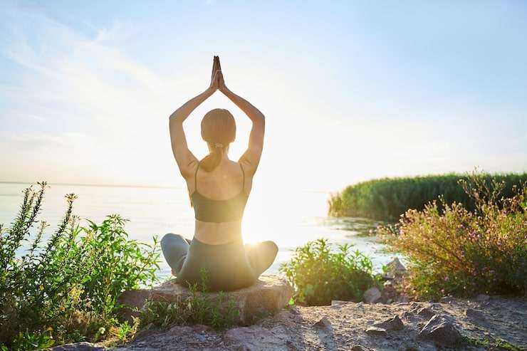 Integrated Longevity Engineering: 2026 Functional Wellness Study