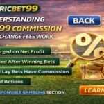Transfer Window Analytics: Evaluating Signings Before They Happen