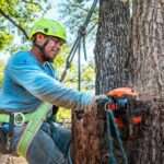 Calculate Tree Removal Costs Before Hiring Experts