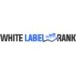 Professional SEO Services: How Organic SEO Experts Improve Search Rankings and Grow Your Business