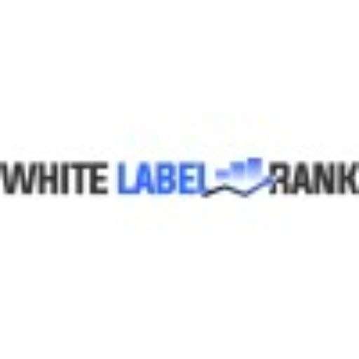 Professional SEO Services: How Organic SEO Experts Improve Search Rankings and Grow Your Business
