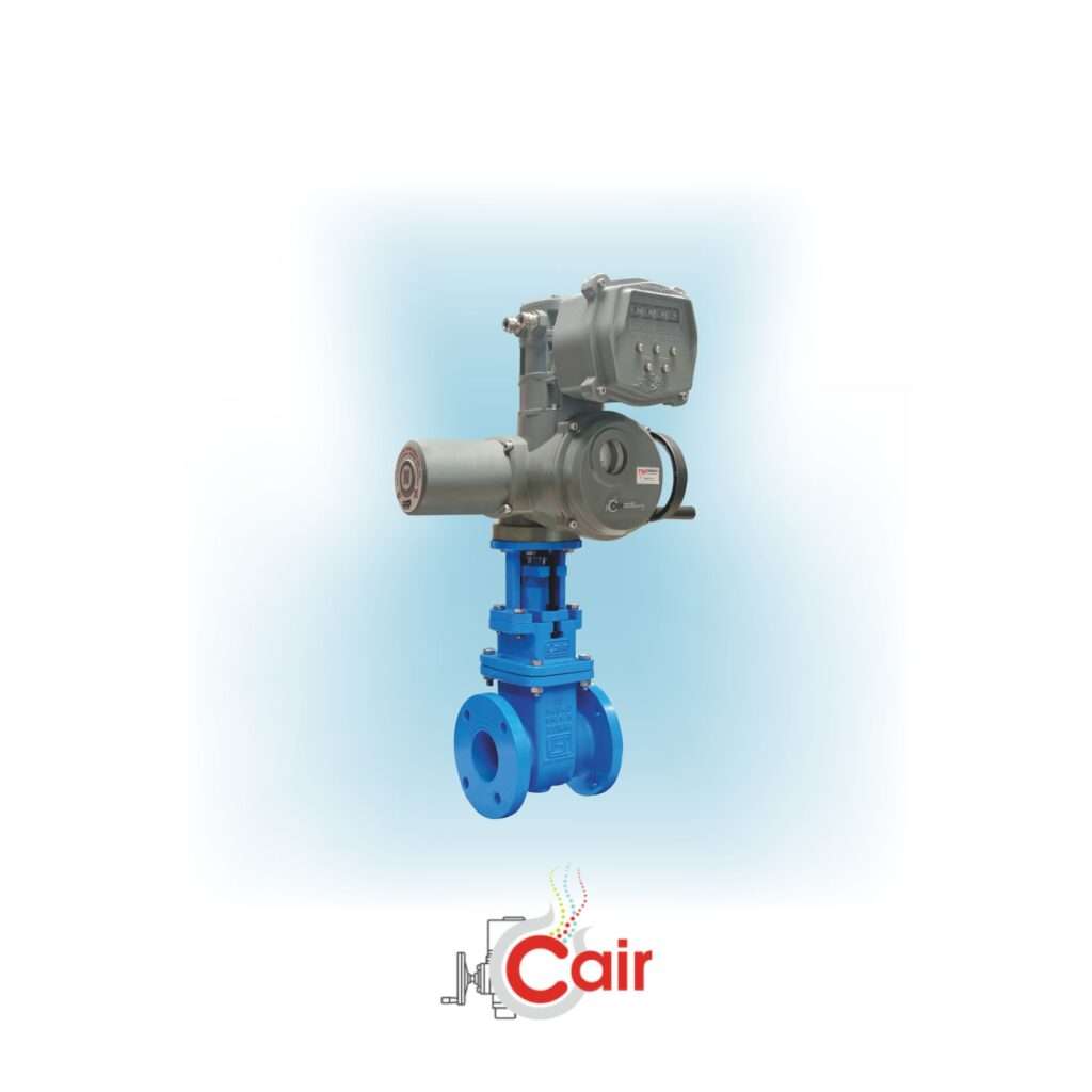 Trusted Sluice Valves Manufacturer from Ahmedabad, India