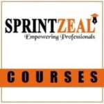 PMI PBA® Certification Training Course in Dubai