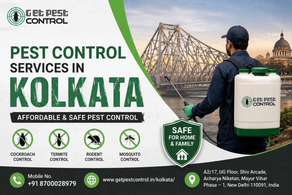 Pest Control Services in Kolkata | Affordable & Safe Pest Control