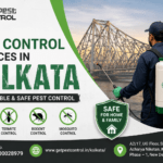 Pest Control Services in Kolkata | Affordable & Safe Pest Control