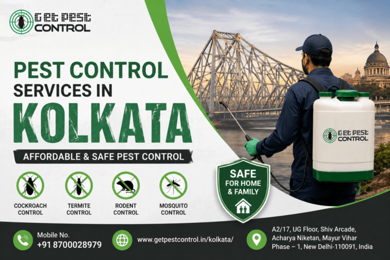 Pest Control Services in Kolkata | Affordable & Safe Pest Control